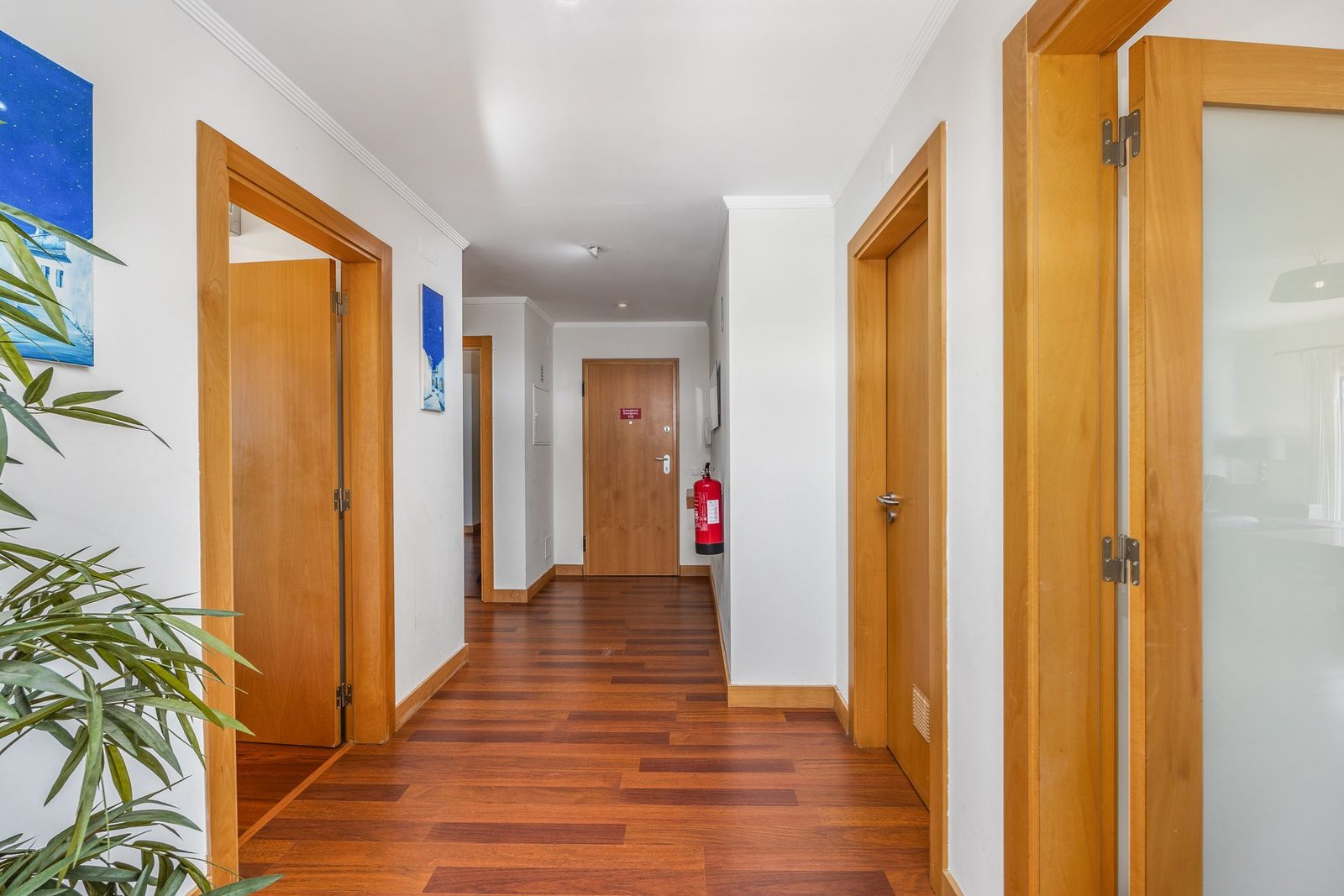 Hallway leading to the bedrooms and entrance