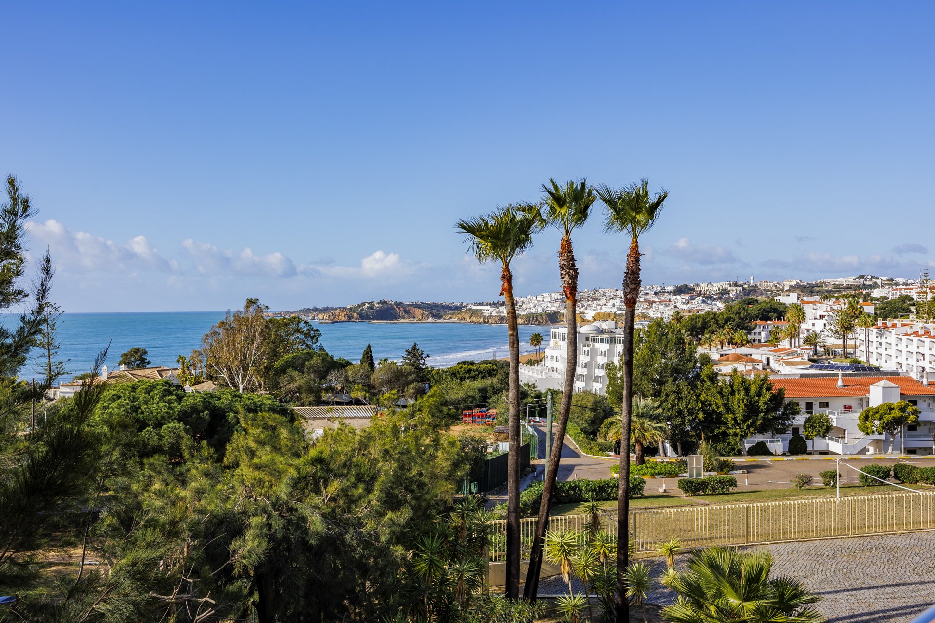 Wide coastal view with palm trees and beach
