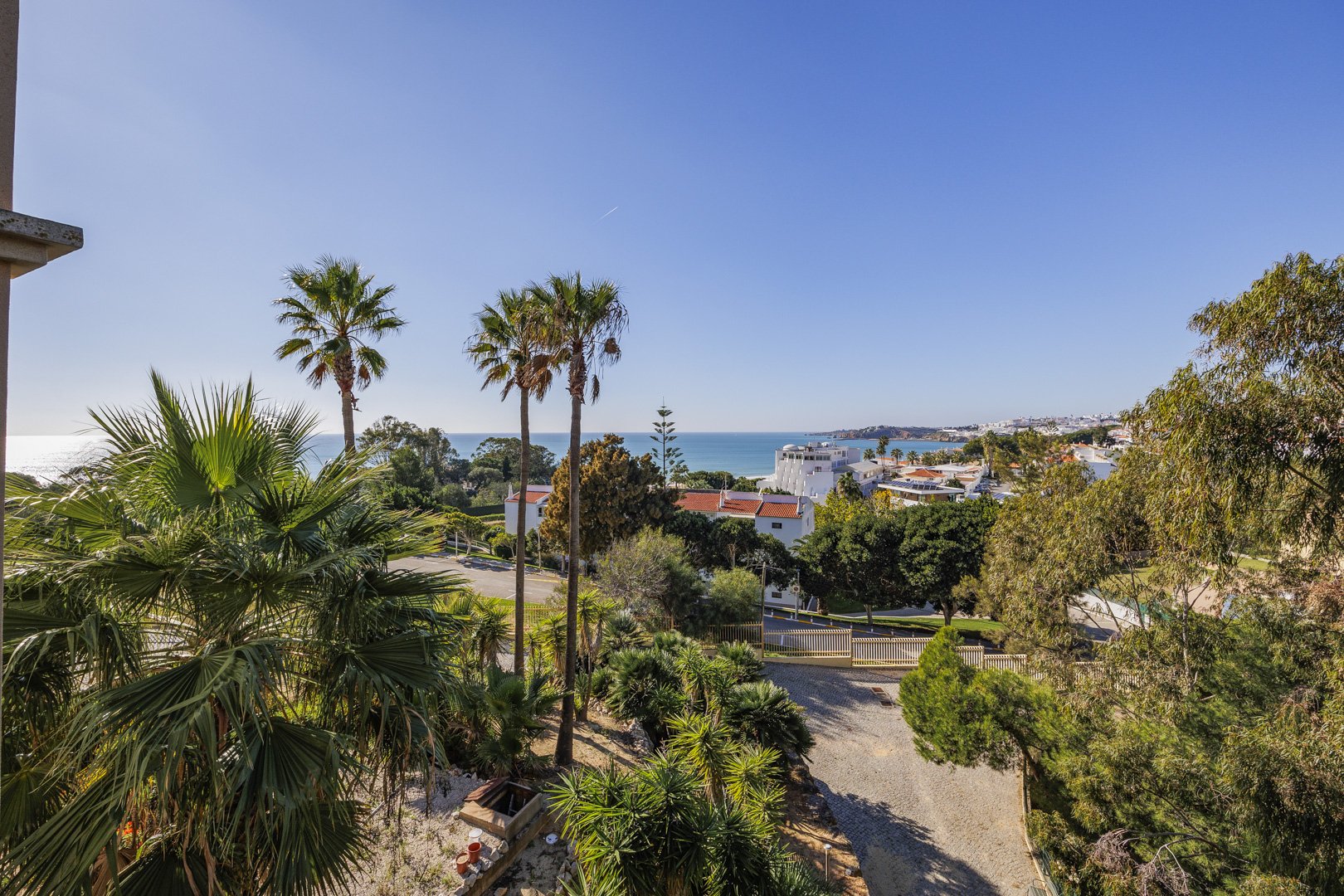View down a palm-lined driveway toward the coastline