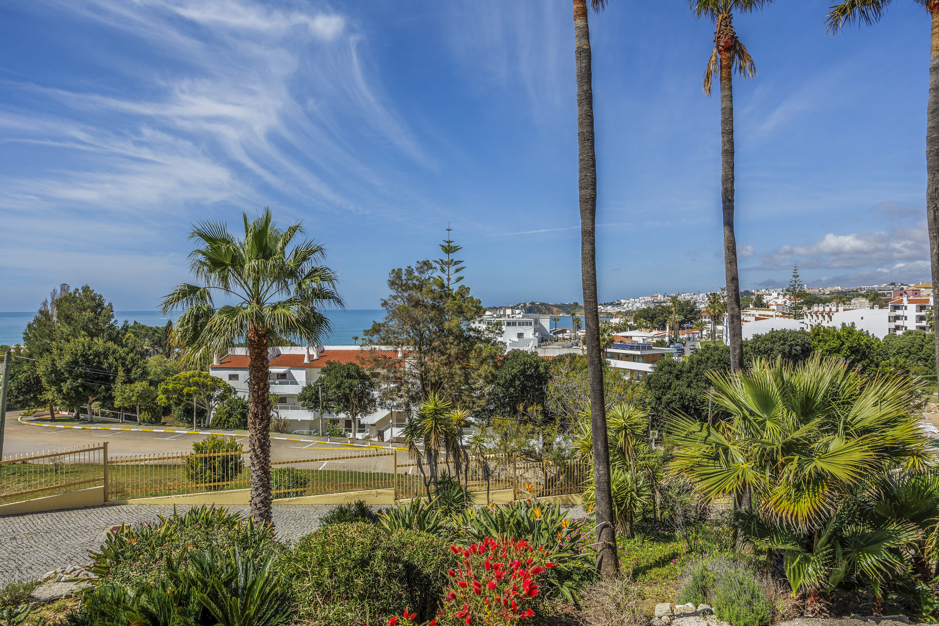 Garden pathway with palm trees and a view toward the coastline and town