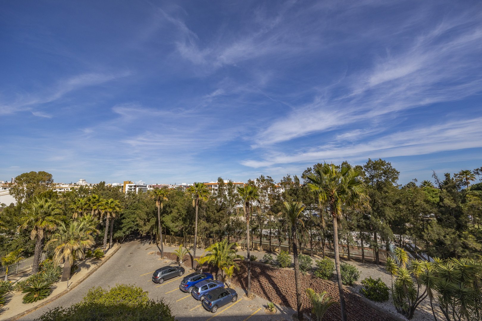Elevated view over the palm-lined grounds and parking area