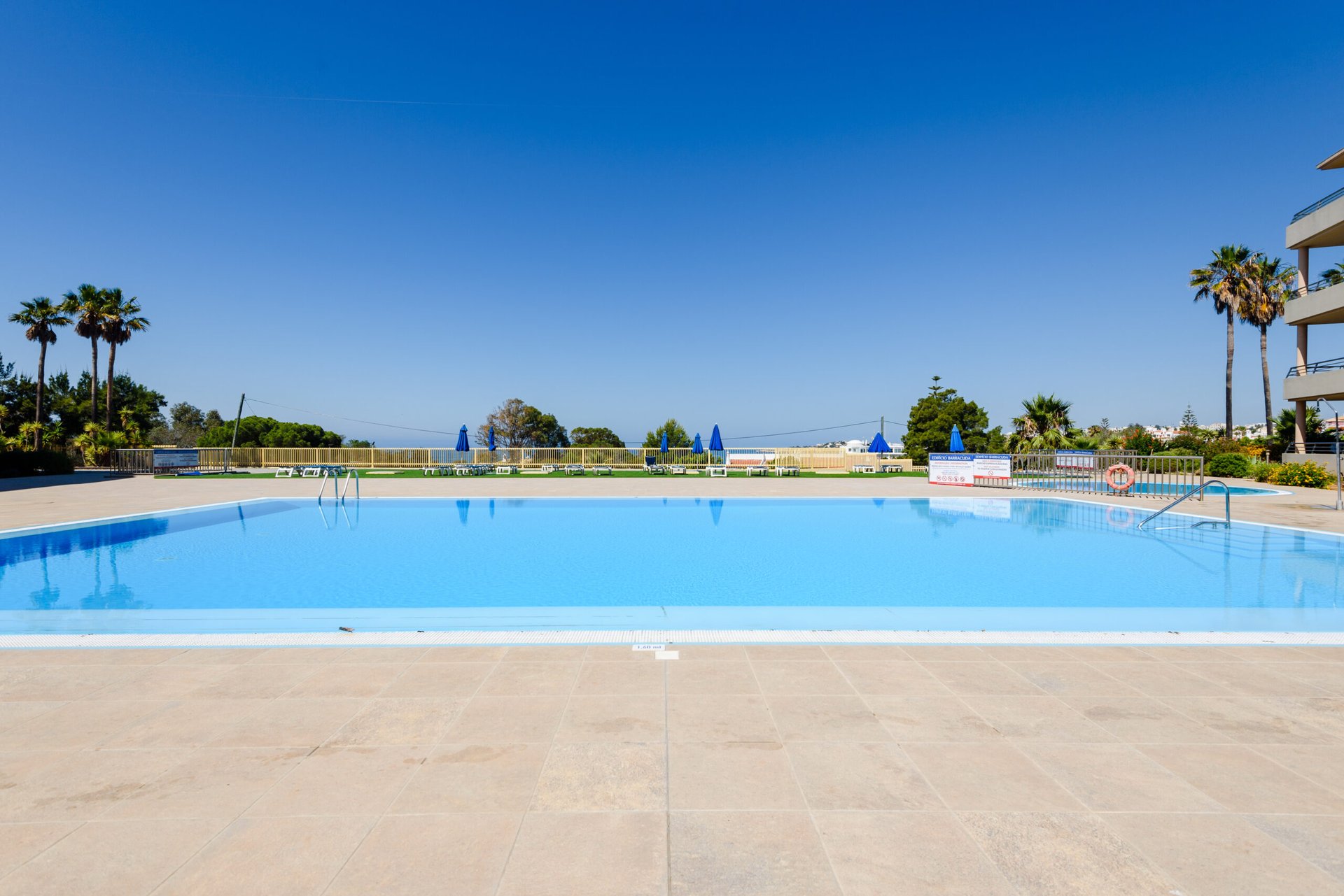 Ground-level view of the communal pool and sun terrace