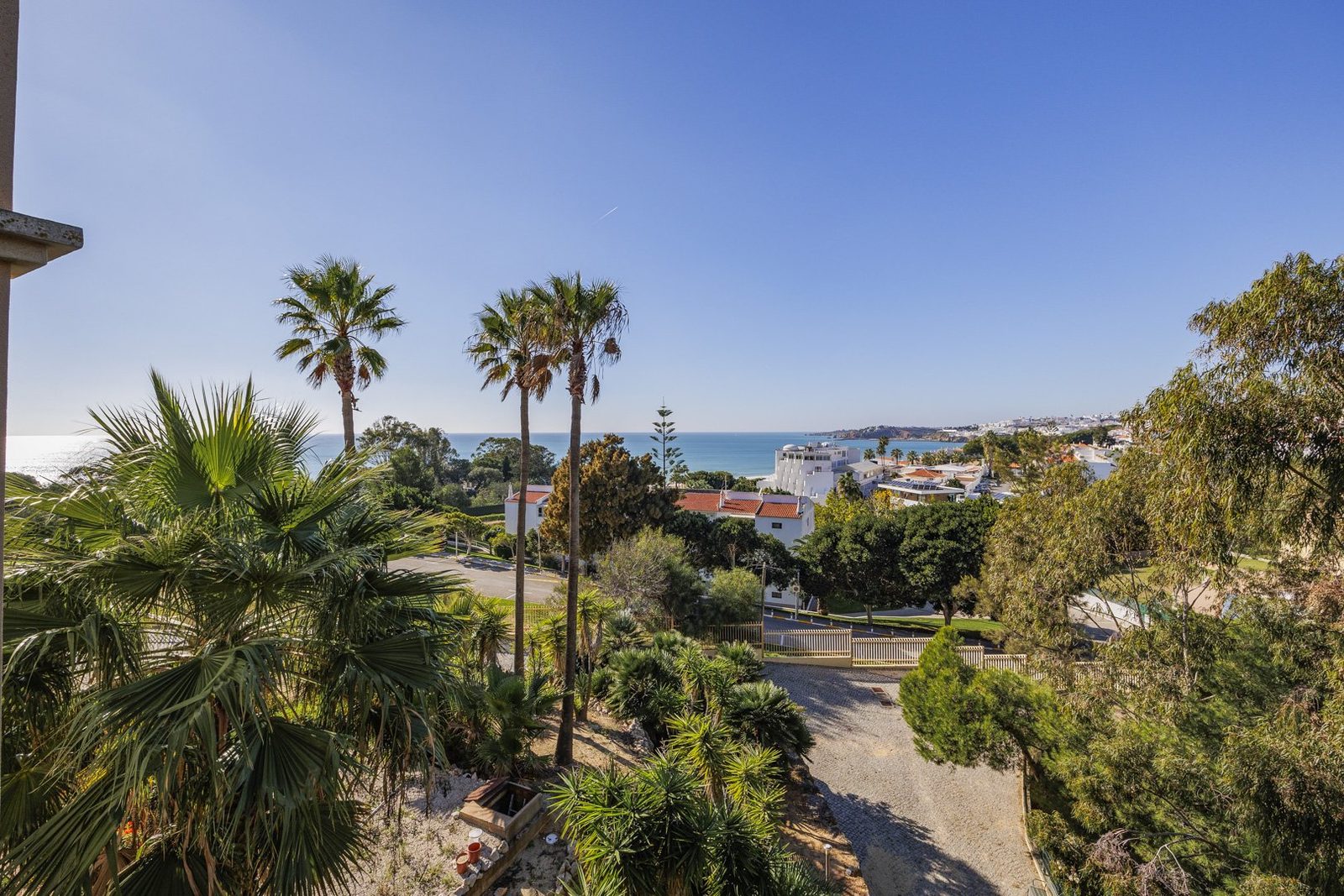 View down a palm-lined driveway toward the coastline