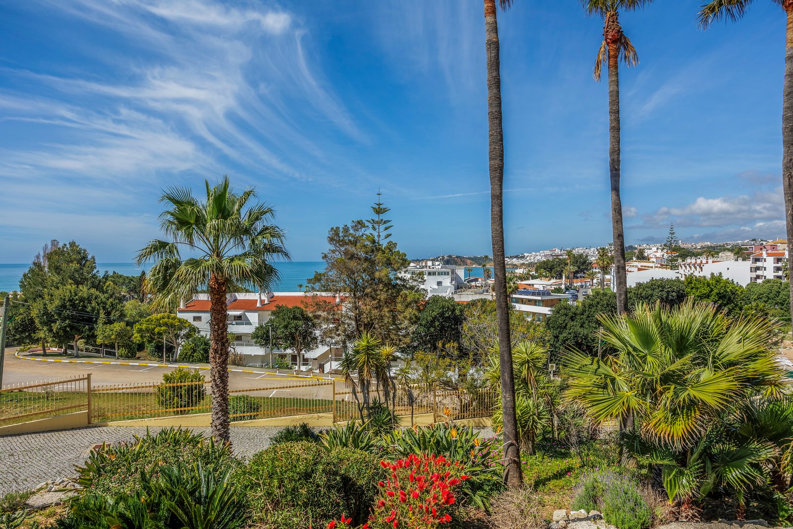 Garden pathway with palm trees and a view toward the coastline and town