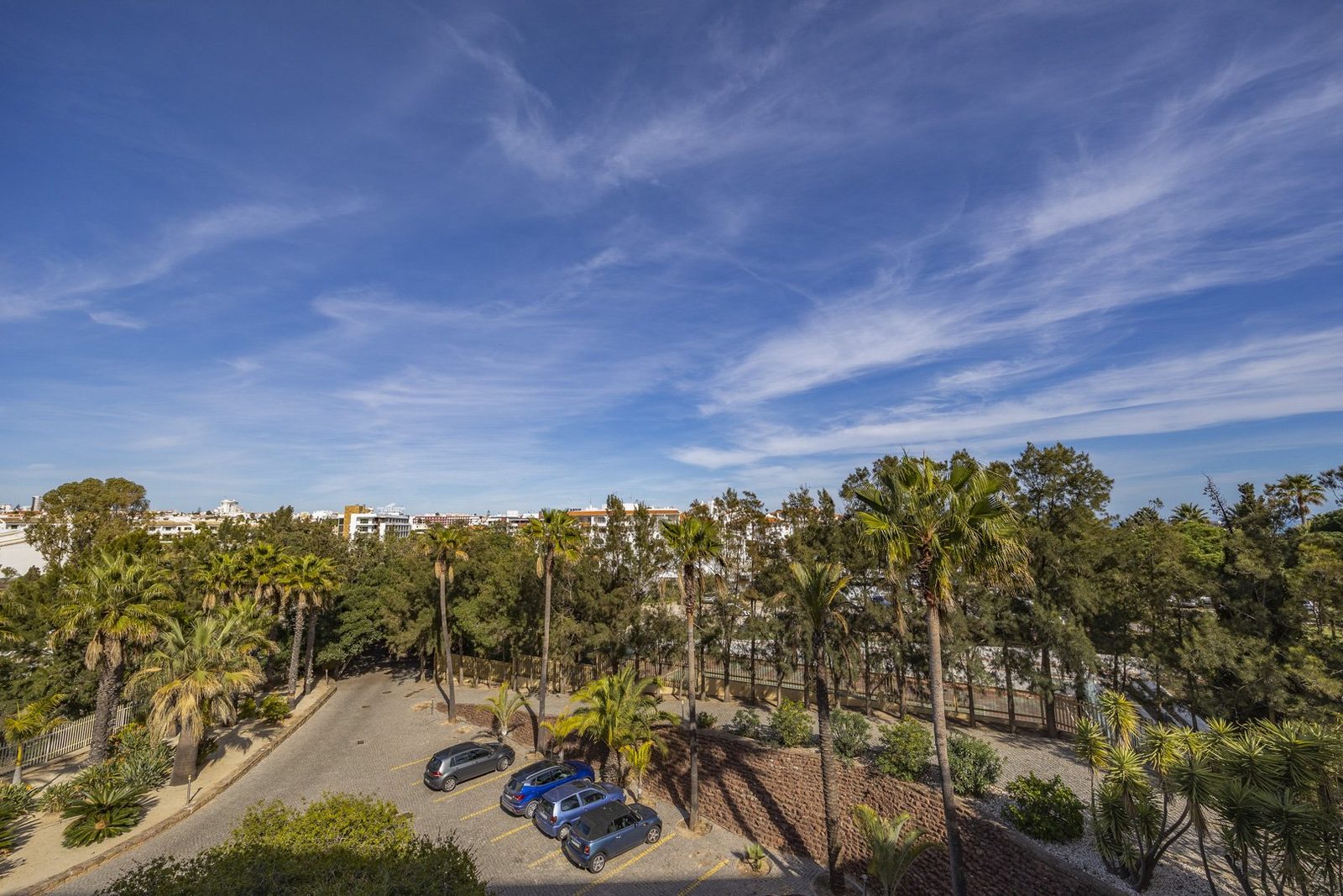 Elevated view over the palm-lined grounds and parking area